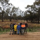 Yarrabee plant out