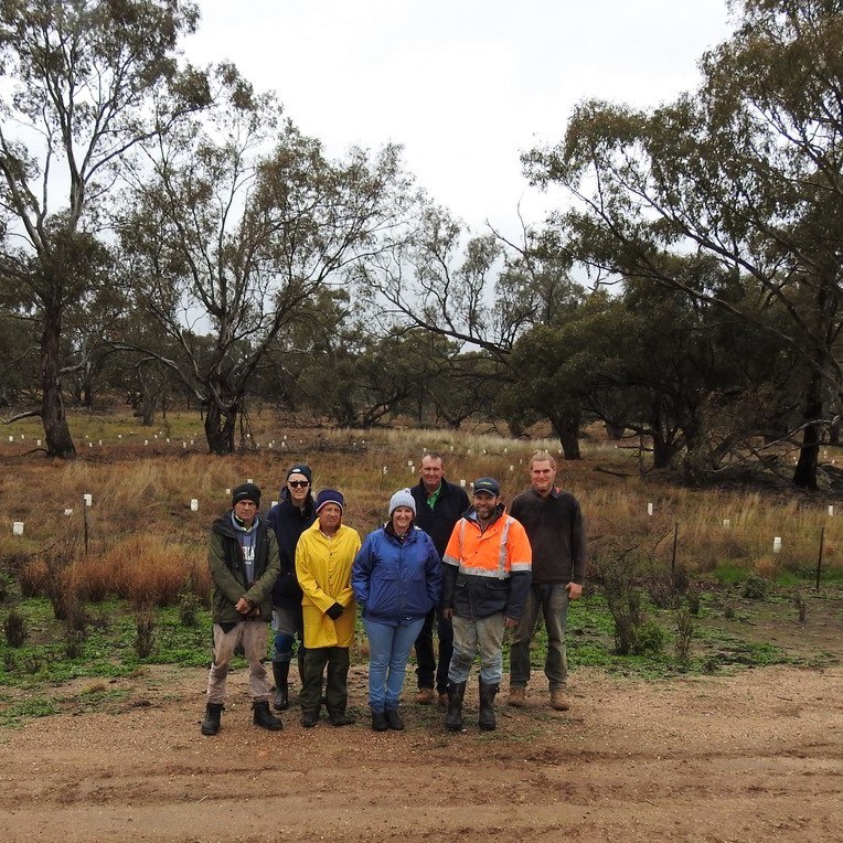 Yarrabee plant out