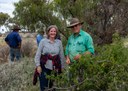 African boxthorn pilot biocontrol project