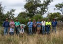 African boxthorn pilot biocontrol project