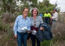 African boxthorn pilot biocontrol project