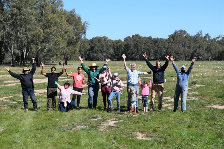 Colombo Creek Fish Habitat Project