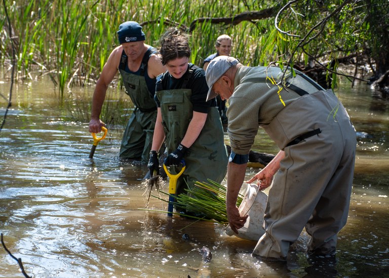 Colombo Creek Fish Habitat Project