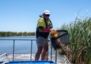 Colombo Creek Fish Habitat Project