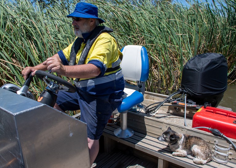 Colombo Creek Fish Habitat Project