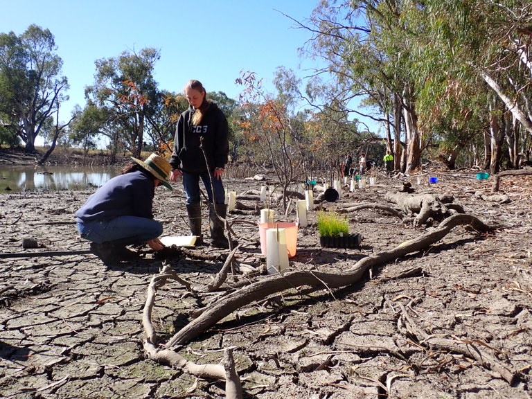 Wetlands for Wildlife 2023