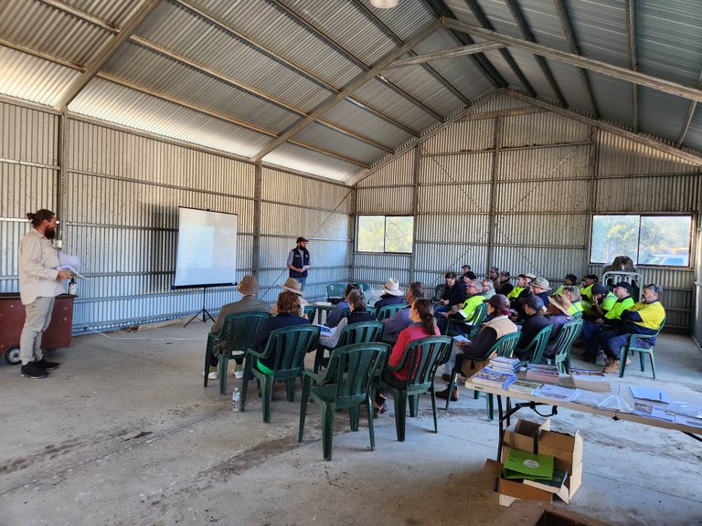 African boxthorn Field Day, Wanganella