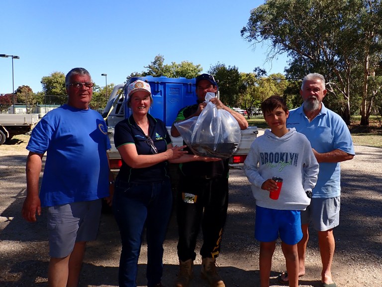 Jerilderie eel-tailed catfish release