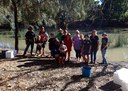 Conargo eel-tailed catfish release