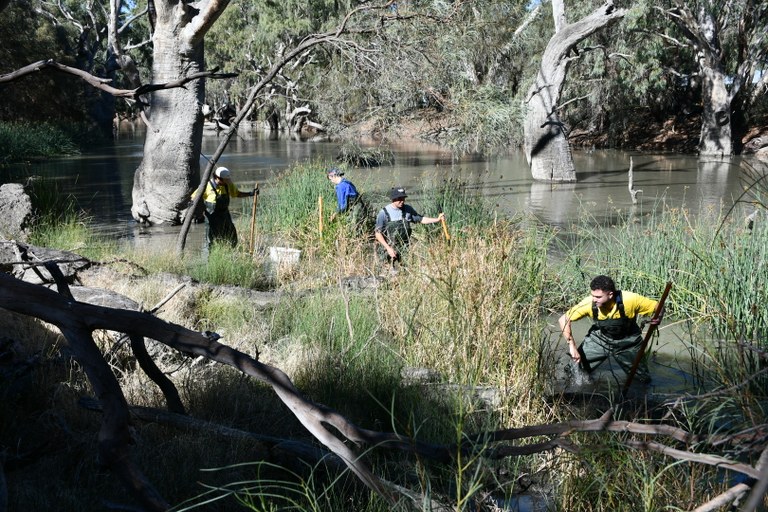 Refreshing Rivers ROAR project at Conargo 2025