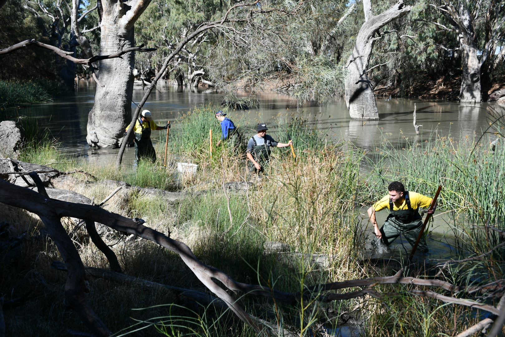 Refreshing Rivers ROAR project at Conargo 2025