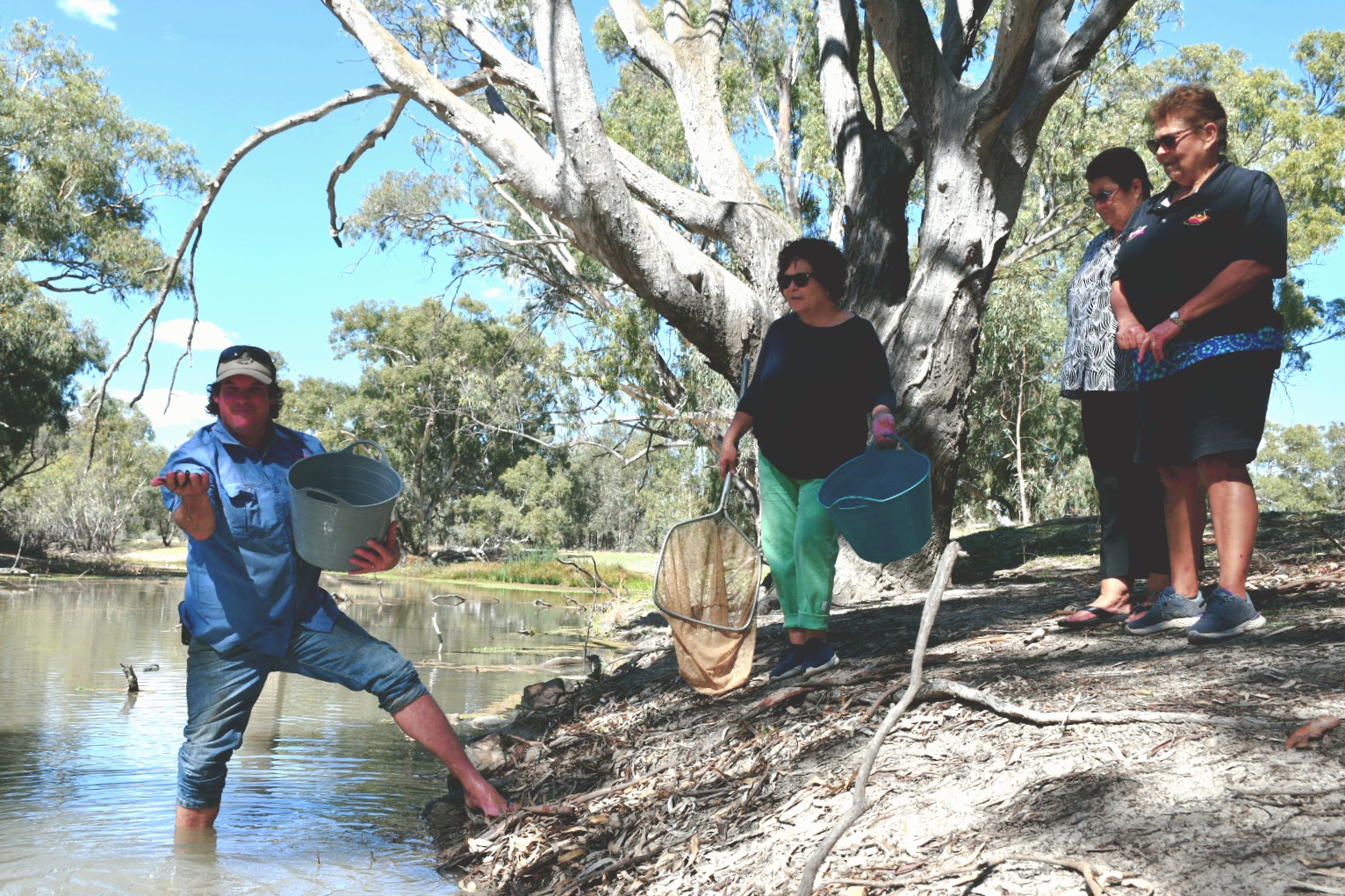 Eel-tailed catfish releases 2025