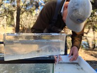 Revitalising the Billabong Creek with Squadron Energy