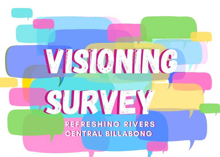 Visioning survey.jpg