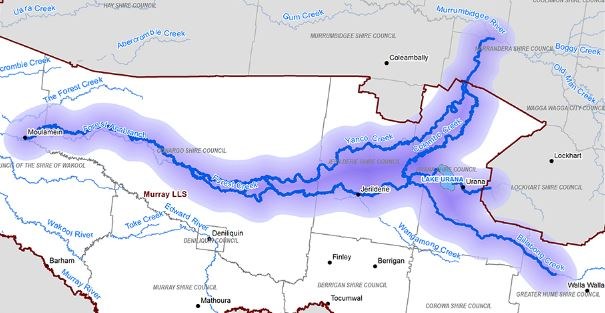 YACTAC Billabing footprint.JPG