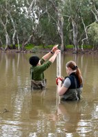 Yanco Creek environmental monitoring 2021-2022