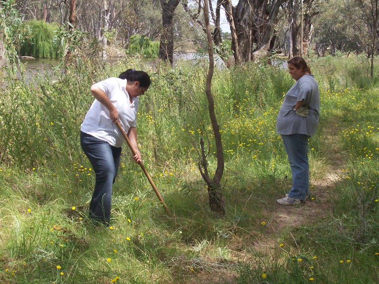Weed control North Deniliquin Forest