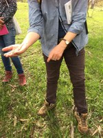 Native plant id and seed collecting with Alison Elvin