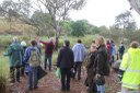 YAN Landcare Groups e-news December 2017