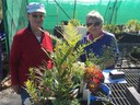 Yass Landcare Nursery plant donation to Yass Garden club