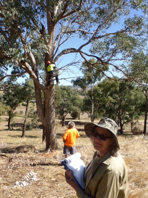 Roosting box installation