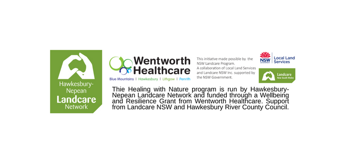 The Healing with Nature program is run by Hawkesbury-Nepean Landcare Network and funded through a Wellbeing and Resilience Grant from Wentworth Healthcare. Support from Landcare NSW and Hawkesbury River County Council for the LLC role.