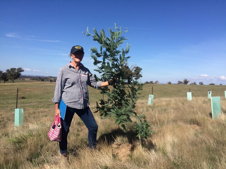 Linda with a tree planted at Wattle Valley