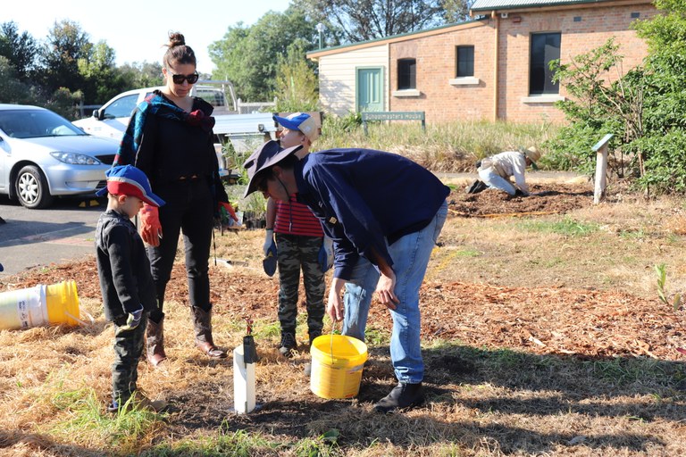 Planting local genetic provenance species as tubestock