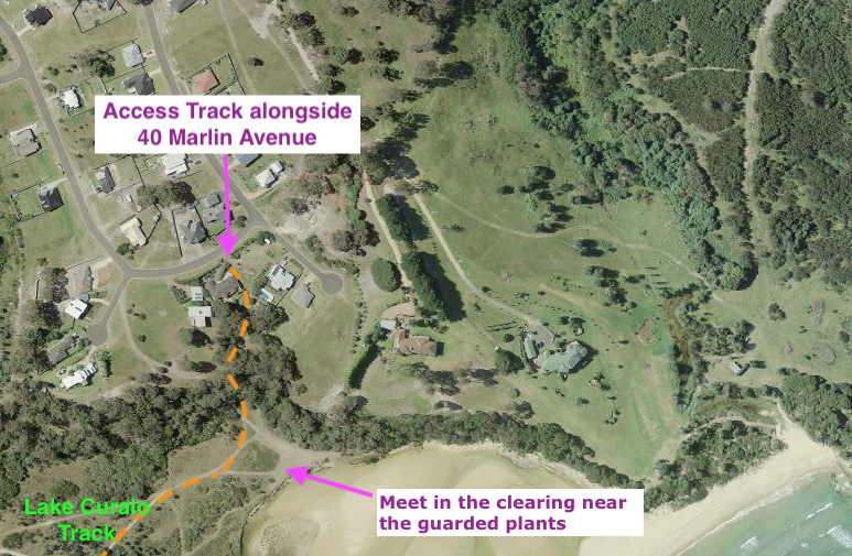 Map showing access to the North Curalo Planting Site